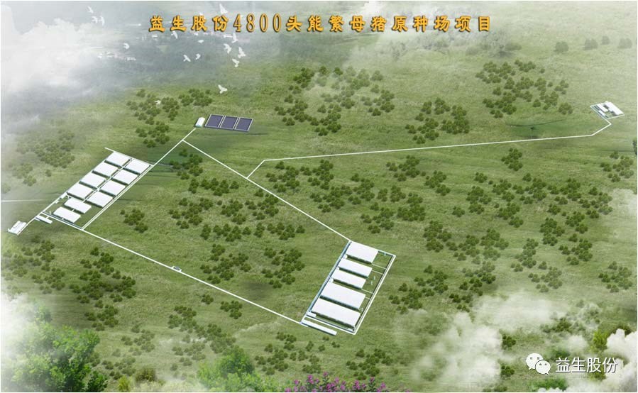 【喜讯】黑龙江全发国际种猪繁育有限公司原种猪场建设项目开工