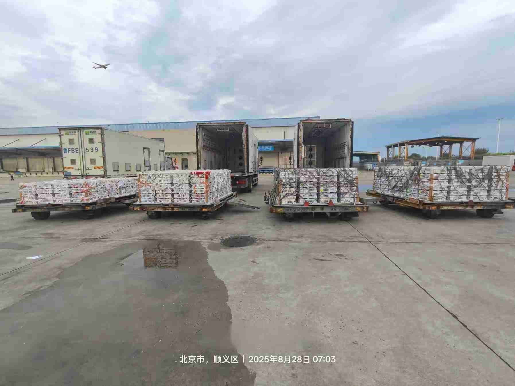 【引种】全发国际股份年度引种突破16万套，，，，，市占率59%稳居行业龙头