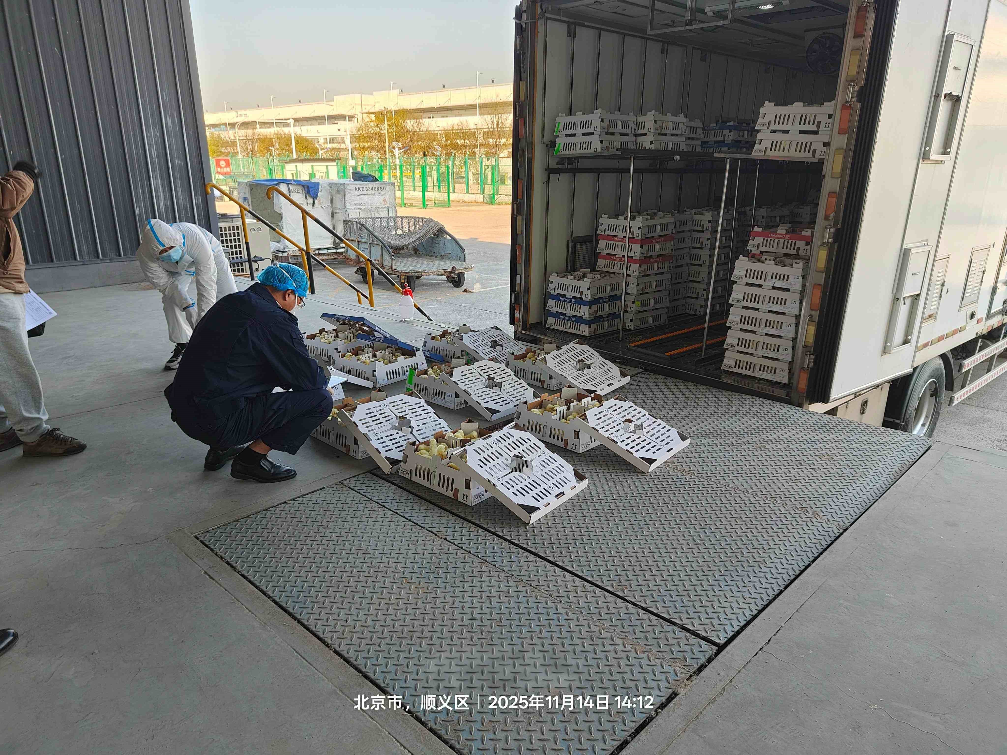 【喜讯】全发国际股份再引种1.6万套祖代肉种鸡，，，，，引种总量突破23.6万套